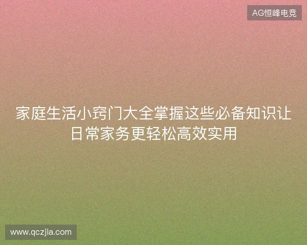 家庭生活小窍门大全掌握这些必备知识让日常家务更轻松高效实用